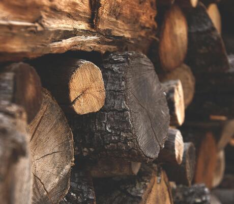 Crédits : Maria Ilaria Piras