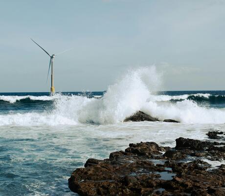 Crédits : Annelies Brouw