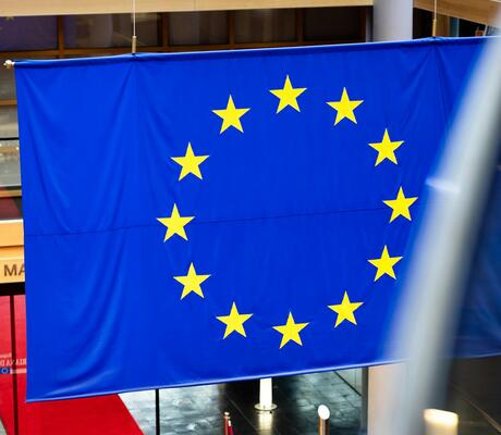 Crédits : Dusan Cvetanovic