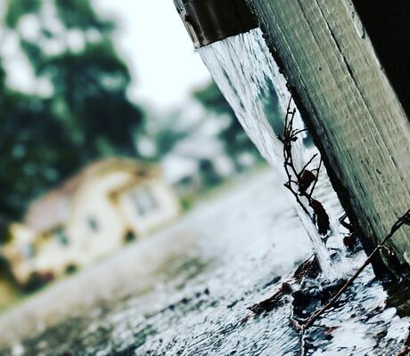 Crédits : Terrance Moon via Pexels