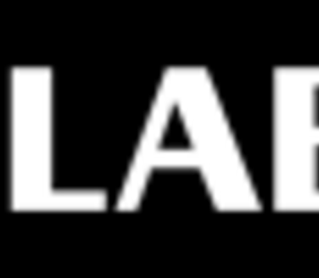 crédit logo delabie