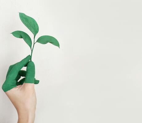 crédit Photo de Alena Koval: https://www.pexels.com/fr-fr/photo/main-gauche-de-la-personne-tenant-une-plante-a-feuilles-vertes-886521/