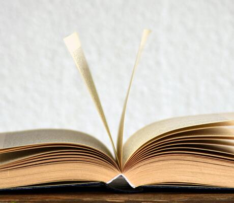 Crédit Photo de Pixabay: https://www.pexels.com/fr-fr/photo/pages-sur-un-livre-ouvert-415071/