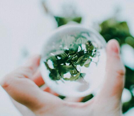 Crédits : Lisa Fotios